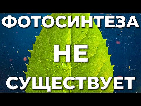 Видео: ЧТО НЕ ТАК С  ФОТОСИНТЕЗОМ? ТОП-7 вопросов к теории газообмена растений