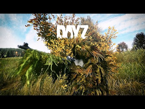 Видео: СНАЙПЕРСКОЕ ДЕЛО в DayZ