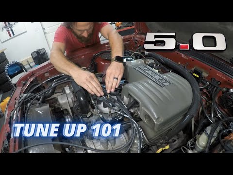 Видео: Как настроить двигатель Mustang V8 5.0 л — свечи, провода, крышка, ротор, топливный фильтр и регу...