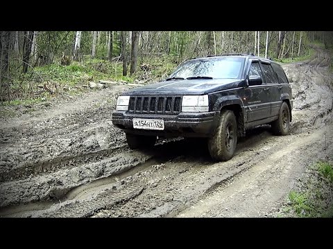 Видео: Первый выезд на Гранд Чероки в Тайгу в этом году... Черемшу добываем.