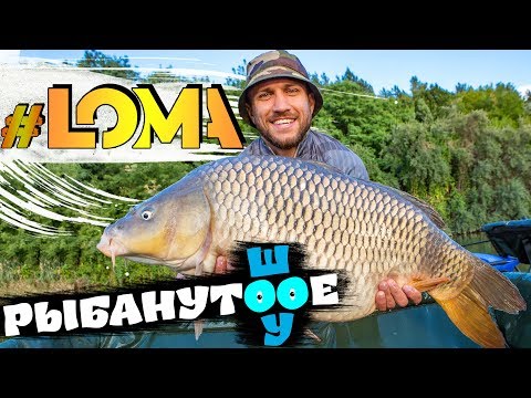 Видео: Василий ЛОМАЧЕНКО паркует трофейных КАРПОВ! МЕГА БАТТЛ Флэт фидер против Карпфишинга! КОНКУРС!