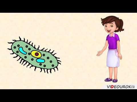 Видео: Ионизирующее излучение