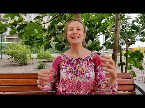 Видео: 5 упражнений нейробики для тренировки мозга