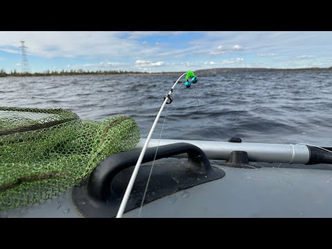 Видео: Закрытие сезона по лещу 2025. Ловля леща на кольцо. Рыбалка на Волге