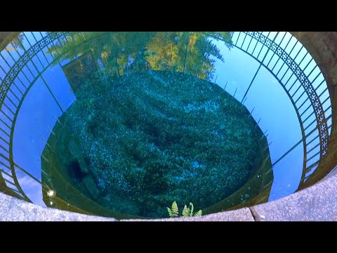 Видео: Оковецкий источник. Тверская область