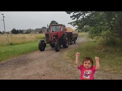 Видео: Советский трактор "Беларус МТЗ 50" у Андрея в Германии. Заготовка дров.