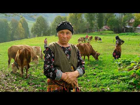 Видео: Над лесом – Жизнь в хуторе | Документальный фильм