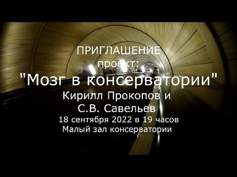 Видео: С.В. Савельев - Мозг в консерватории