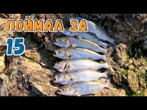 Видео: РЫБАКИ В ШОКЕ! Обловил за 15 минут и ушёл. Рыбалка на ЛУФАРЯ в Греции.