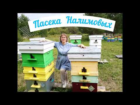 Видео: История наших ульев. Какие лучше и почему?