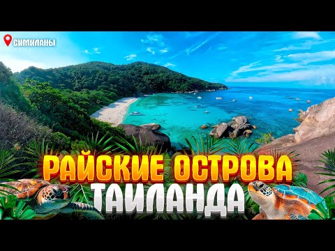 Видео: Симиланы с Пхукета: Самые Красивые Острова?