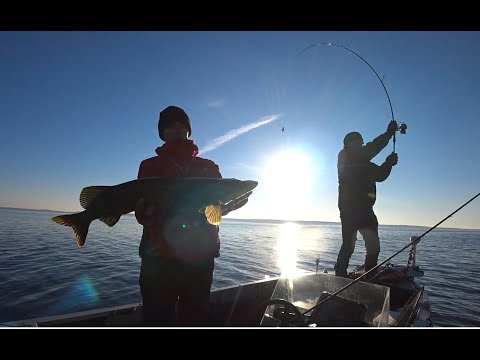 Видео: Тактика ловли на оз. Нарочь!