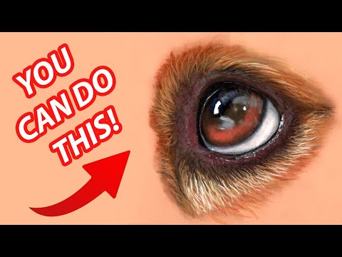 Видео: ПРОСТОЙ урок для начинающих! Рисунок глаз пастельным карандашом — дикая природа