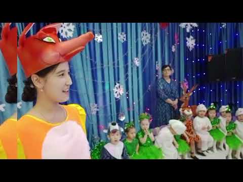 Видео: "БАЛАБАҚША ТЕАТР" жобасы аясындағы "Жаңа жылдық оқиға ертегісі" театрландырылған қойылым.