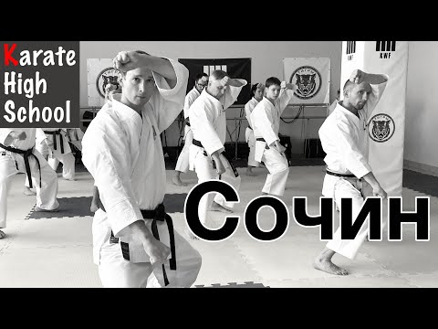 Видео: Сочин | Ката шотокан | Детальный разбор | Бункай