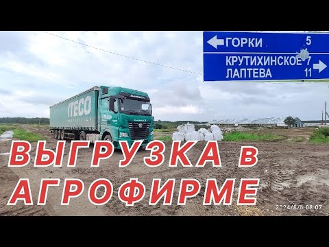 Видео: ✅ ВЫГРУЗКА В АГРОФИРМЕ. ОТПРАВИЛИ В СЕЛО.