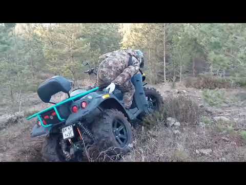 Видео: 11 декабря