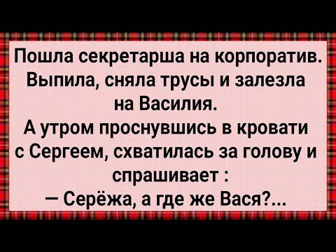 Видео: Как Секретарша На Корпоративе Погуляла! Сборник Свежих Анекдотов! Юмор!