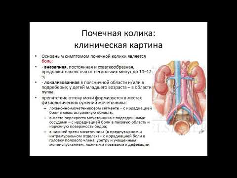 Видео: Неотложная урология.