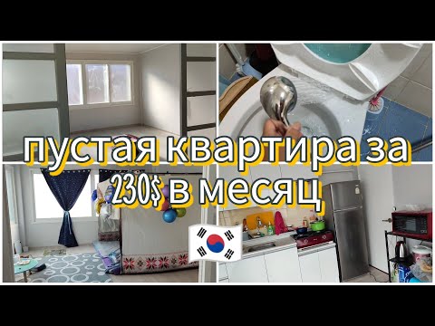 Видео: KR Арендовали квартиру в Корее. Без мебели и техники, зато можно с собакой. Румтур