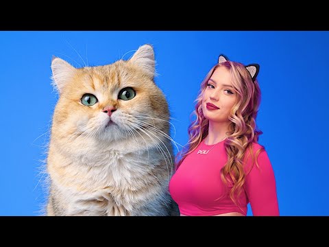 Видео: POLI - Котик (Official music video)