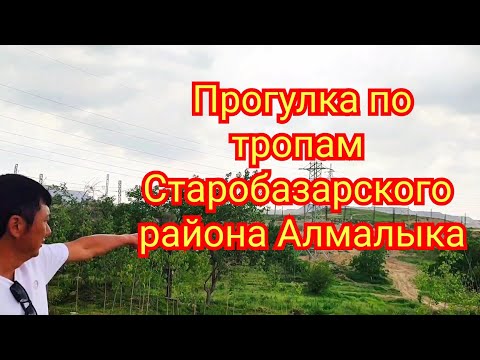 Видео: Алмалык район Старый Базар прогулка по былым местам