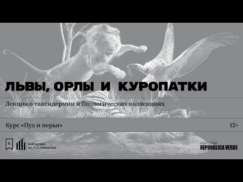 Видео: «Львы, орлы и куропатки». Лекция о таксидермии и биологических коллекциях