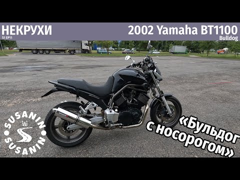 Видео: НЕКРУХИ №11 - Yamaha BT1100 Bulldog. Странный, но душевный