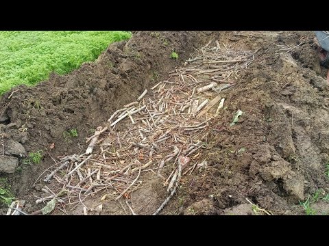 Видео: Күзде құнарлы атыз (грядка) дайындау.Триходерма мен сенная палочка пайдалану.