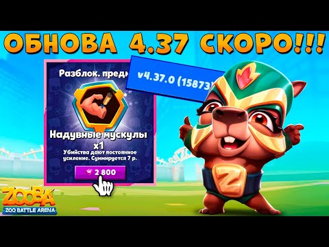 Видео: ОБНОВА 4.37 - ЧТО ТАМ??? КУПИЛ БИЦЕПС ЗА 2.8К ГЕМОВ!!! ЛУЧАДОРА КУИНН В ИГРЕ ZOOBA