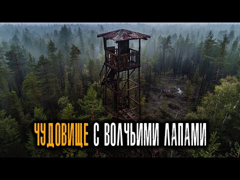 Видео: На Заброшенной Пожарной Вышке нашли ЧУДОВИЩЕ с Волчьими Лапами — Архивы НКВД ЭТО СКРЫЛИ