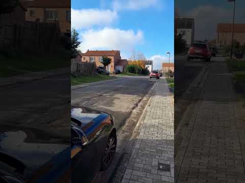 Видео: Пешая прогулка по моему району, осень золотая ///