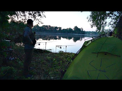 Видео: Рыбалка с ночевкой! Отличный отдых на природе! Нашел хорошего карася!