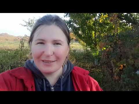 Видео: Нарешті зробила те,що задумала