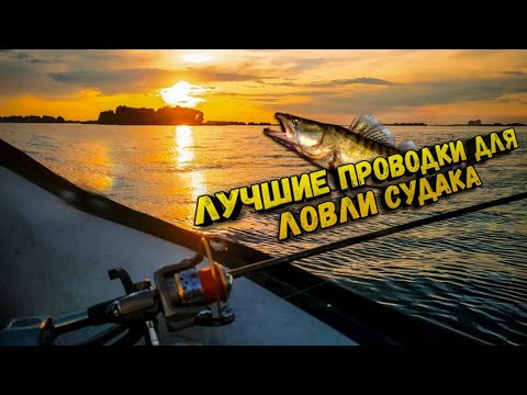 Видео: Лучшие проводки для ловли судака. Поклевки судака на джиг и на троллинг.