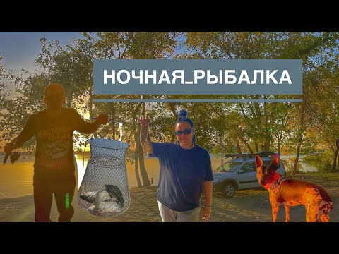 Видео: Ночная Рыбалка с Женой на Новотроицком ВДХР, Бешеный Клев Плотвы и Карася, Наловились от Души.