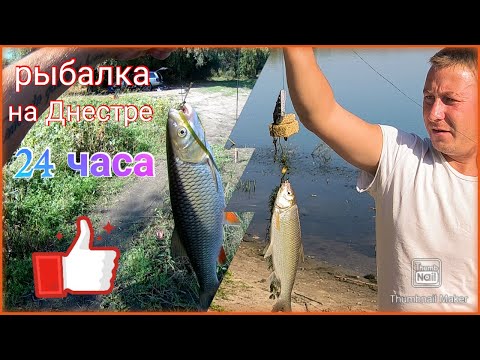 Видео: Рыбалка на реке Днестр Рыбалка с ночёвкой ,Днестр ПМР.Рыбалка в ПМР.