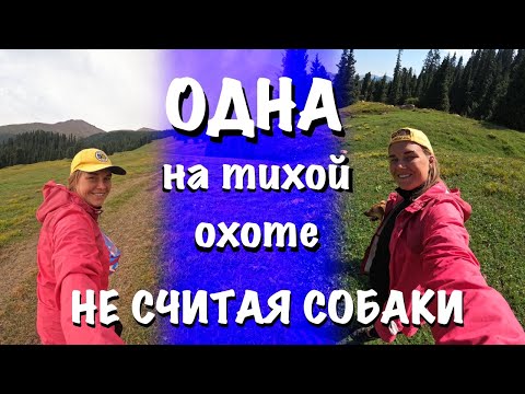 Видео: Одна на тихой охоте, не считая собаки. Иссык-куль, август 2024 #Кыргызстан