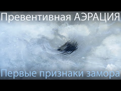 Видео: Как предотвратить ЗАМОР? Первые признаки замора | АЭРАЦИЯ закрытых водоемов