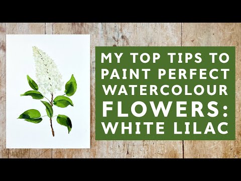 Видео: Простая акварельная белая сирень — мои главные советы!
