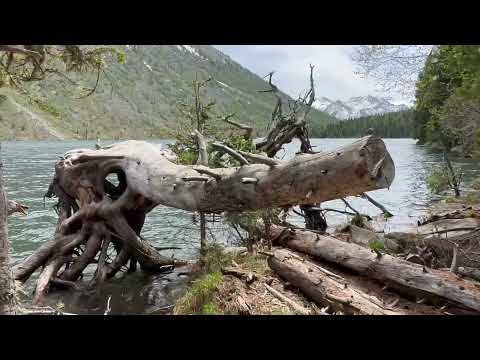 Видео: Мультинские Озера и дорога до них/ Горный Алтай/ Уймонская долина