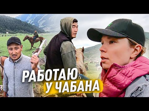 Видео: ЖИВУ С ЧАБАНОМ. Дою корову, говорю на кыргызском. Кыргызстан! #vlog