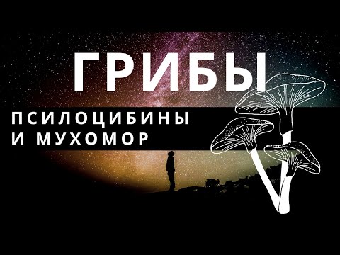 Видео: ГАЛЛЮЦИНОГЕННЫЕ ГРИБЫ. Дары природы или большое заблуждение?