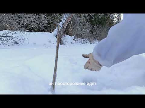 Видео: 3 сентября 2024 г.