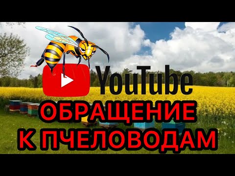 Видео: ❗️Обращение к пчеловодам YouTube❗️