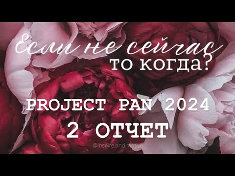 Видео: Бесконечный PROJECT PAN 2024 Отчет 2
