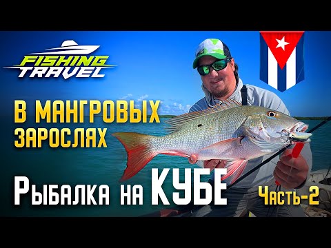 Видео: Рыбалка в мангровых зарослях! Как и кого можно поймать на Кубе? Часть 2 /Fishing Travel/Артем Мишин/