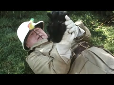 Видео: Бенни Хилл - Затерянный посреди джунглей…