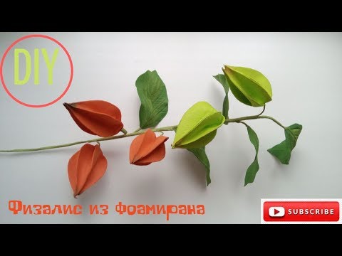 Видео: Веточка физалиса из фоамирана