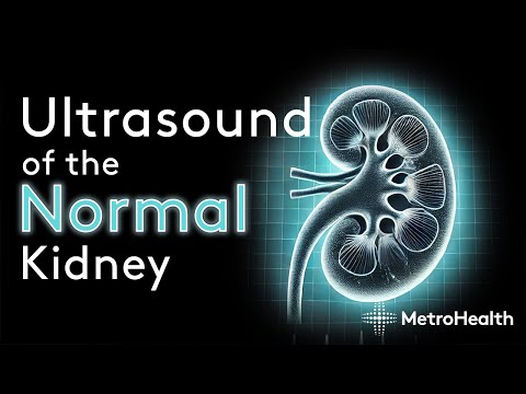 Видео: УЗИ нормальной почки